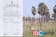 யாழ்ப்பாணத்தில் தனிநபரால் அத்துமீறி சுவீகரிக்கப்பட்டபல ஏக்கர் அரச காணி