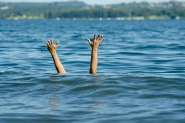 දියරකුසා තවත් දරුවෙක් බිලිගනි...