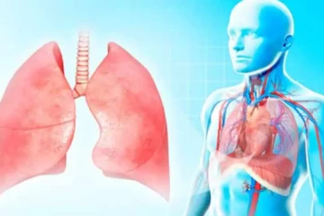 நுரையீரலை பாதுகாக்க தினமும் இந்த உணவுகளை தவறாமல் சாப்பிட்டு வாங்க.. நன்மைகள் ஏராளம்!