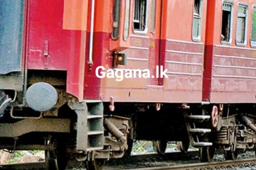 කුඩා දරු දෙදෙනා සහ මව දුම්රියේ ගැටී ජීවිතක්ෂයට..!