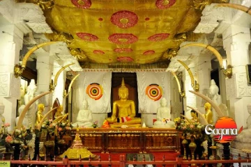 දළදා සමිඳුන්ගේ නව ගිහි භාරකරු කවුරුන්ද ? තීන්දුව හෙට