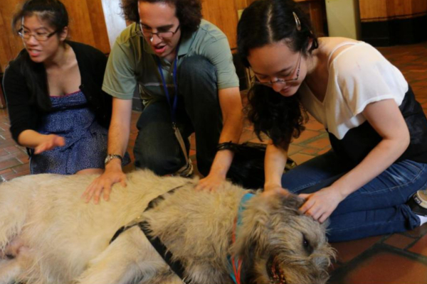 செல்லப்பிராணிகளை இழந்த ஊழியர்களுக்கு 2 நாள் ஊதியத்துடன் விடுமுறை - அதிரடி அறிவிப்பு! | Columbia Government Announced New Order