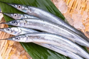 ரத்த சோகை இருப்பவர்கள் சாப்பிட வேண்டிய முள் இல்லாத மீன்