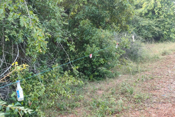 கொக்குத்தொடுவாயில் தமிழர்களின் பூர்வீக காணிகள் தொடர்பில் ரவிகரன் எம்.பி விடுத்த எச்சரிக்கை | Sinhalese Attempt To Seize Tamils Ancestral Lands கொக்குத்தொடுவாயில் தமிழர்களின் பூர்வீக காணிகள் தொடர்பில் ரவிகரன் எம்.பி விடுத்த எச்சரிக்கை | Sinhalese Attempt To Seize Tamils Ancestral Lands