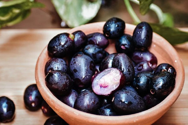 நீரிழிவுக்கே எமனாகும் நாவல்பழம் | Benefits Of Navalpalam
