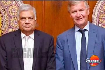 කරුණාකර රනිල් නිදහස් කරන්න -නොර්විජියානු සාම ලේකම්ගෙන් ඉල්ලීමක්