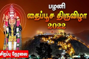 பழனி முருகன் கோவில் திருக்கல்யாணம்: தைப்பூச திருவிழாவின் நேரலை காட்சி