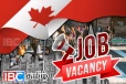 கனடாவில் வேலை தேடுவோருக்கு வெளியான மகிழ்ச்சி தகவல் !