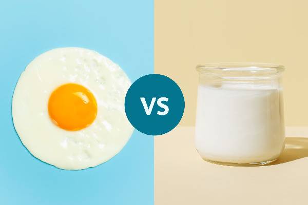 முட்டை VS தயிர்: கூந்தல் ஆரோக்கியத்தை மேம்படுத்துவதில் சிறந்தது எதுன்னு தெரியுமா? | Which Is Better For Hair Growth Egg Or Curd முட்டை VS தயிர்: கூந்தல் ஆரோக்கியத்தை மேம்படுத்துவதில் சிறந்தது எதுன்னு தெரியுமா? | Which Is Better For Hair Growth Egg Or Curd