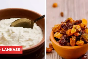 தயிரில் உலர் திராட்சையை ஊற வைத்து சாப்பிட்டு பாருங்க... இந்த நன்மைகள் எல்லாம் கிடைக்குமாம்!