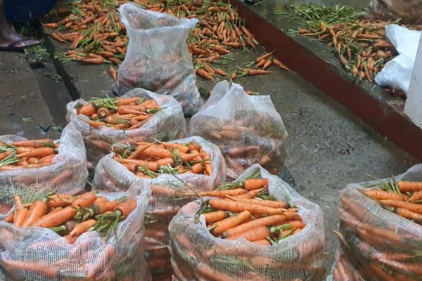 இலங்கையில் கரட்டின் விலை! கொழும்பில் 3000 ரூபா, நுவரெலியாவில் 190 ரூபா | 3000Rs Passed For Carrot 1Kg In Colombo