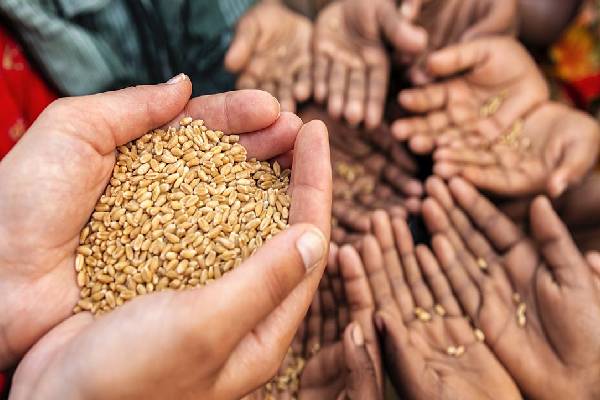 பட்டினி சாவு நடக்க முன் நடவடிக்கை எடுங்கள்! - நாடாளுமன்றில் மனோ பிரேரணை | Starvation Motion In Parliament Economic Crisis