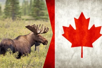 கனடாவில் இருவருக்கு விதிக்கப்பட்ட பெருந்தொகை அபராதம்: இதுதான் காரணம்