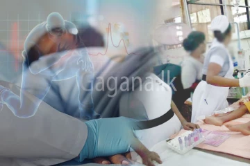 මෑත කාලීන මරණවලට ප්‍රධානතම හේතුව අනාවරණය වෙයි.