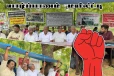 கொட்டும் மழையிலும் 26ஆவது வாரமாக தொடரும் மயிலிட்டி மக்களின் நிலமீட்புப் போராட்டம்!