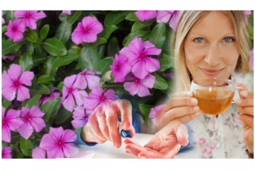 அடடா... இந்த பூவில் இவ்வளவு மருத்துவ குணம் உள்ளதா? இது தெரியாம போச்சே... நீங்களே தெரிந்துகொள்ளுங்கள்!