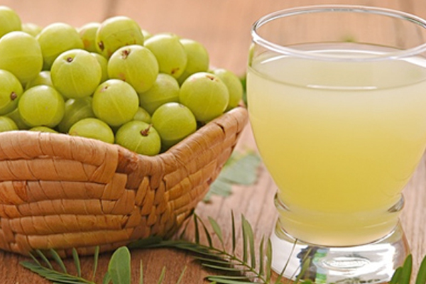 நெல்லிக்காயின் மருத்துவ குணங்கள் | Medicinal Properties Of Gooseberry