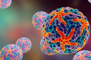 නැවතත් දරුණු රෝගයක් හිස ඔසවයි - කොළඹ අවටින් රෝගීන් රැසක්