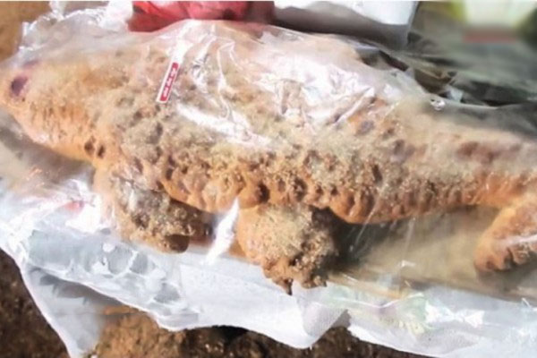 இலங்கையில் 23,200 ரூபாவிற்கு விற்பனை செய்யப்பட்ட உணவுப் பொருள் | 23200 Rupees Of Food Item Sold In Sri Lanka