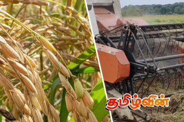 நெல்லுக்கான உத்தரவாத விலை போதுமானதா..! விவசாயிகள் ஆதங்கம்