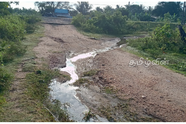 பயணிக்க முடியாத தண்டுவான் குளங்கீழ் வீதி: பாதிக்கப்படும் விவசாய மக்கள் | Sri Lankan Tamil People Problems