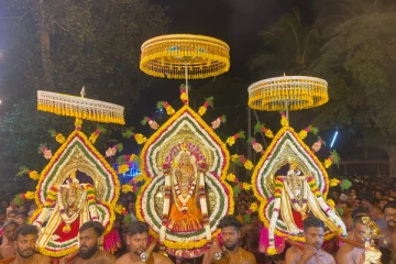 தெல்லிப்பழை துர்க்காதேவி தேவஸ்தானத்தின் சப்பறத் திருவிழா (Photos)