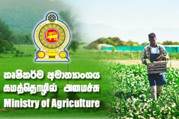 பயிர் சேதங்களுக்கு தீர்வு: விவசாயிகளுக்கு வழங்கப்படவுள்ள நிவாரணம்