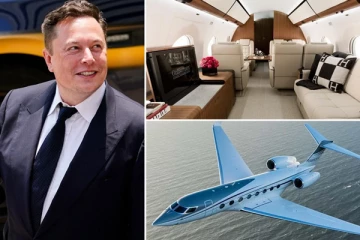 எலான் மஸ்க் வாங்கிய அதிசொகுசான நவீன விமானம்! எத்தனை கோடி தெரியுமா?