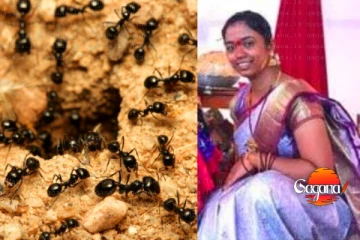 කූඹින්ට බයේ කාන්තාවක් සියදිවි නසාගෙන - දරුවා අනාතයි