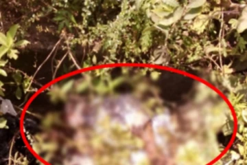 கால்வாயிலிருந்து மீட்கப்பட்ட ஆணொருவரின் சடலம்! துருவும் பொலிஸார் மற்றும் தடயவியல்துறை
