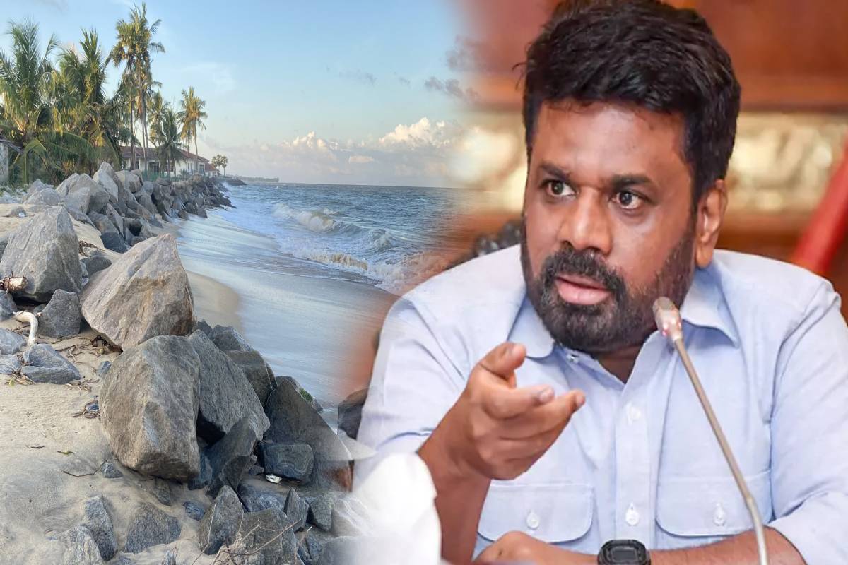 ஒலுவில் துறைமுக நிர்மாணம் கடலரிப்பை ஏற்படுத்துமா..! ஜனாதிபதி பேசியதற்கு பதிலடிக் கொடுத்த இம்ரான் எம்.பி | President Speaks On Oluvil Port Construction