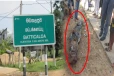 மட்டக்களப்பில் அழையா விருந்தாளியால் பரபரப்பு