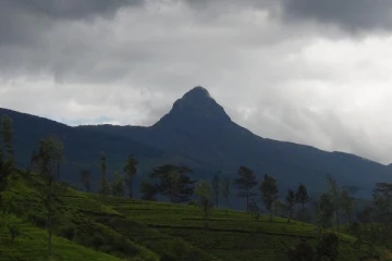 சிவனொளிபாதமலைக்கு தரிசனம் செய்ய சென்ற 16 இளைஞர்கள் கைது! (Video)