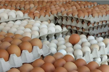 இறக்குமதி செய்யப்பட்ட முட்டைகளுக்கு சுகாதார சான்றிதழ்!