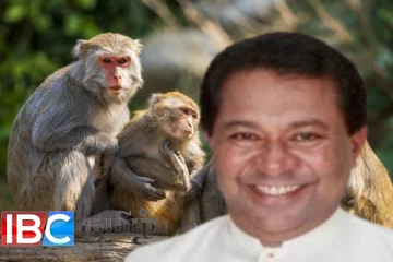 விலங்குகளை கொலை செய்வதில் தப்பே இல்லை : இப்படி கூறுகிறார் முன்னாள் அமைச்சர்