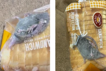 ப்ரெட்டில் உயிருடன் வந்த எலி: ஒன்லைன் விற்பனையில் ஏமாந்து போன கஸ்டமர்!