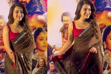 அதுக்காக வெறும் இத்தனை கோடி தானா!! பொன்னியின் செல்வன் படத்தில் திரிஷா வாங்கிய சம்பளம்..