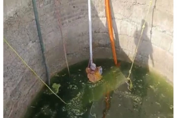 கிணற்றில் தவறி விழுந்த 70 வயது மூதாட்டி உயிருடன் மீட்பு.