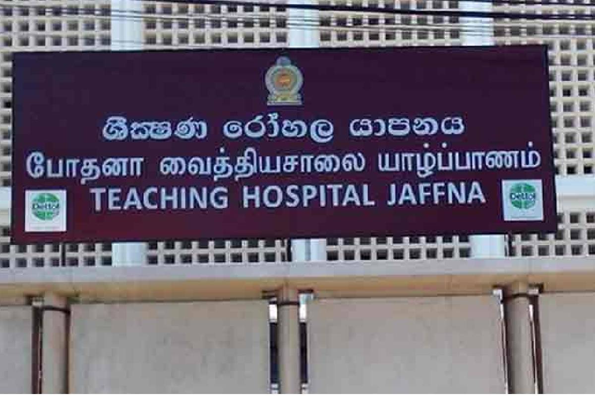 யாழில் தவறான முடிவெடுத்து இளம் குடும்பஸ்தர் உயிர்மாய்ப்பு! | Young Family Man Dies In Jaffna