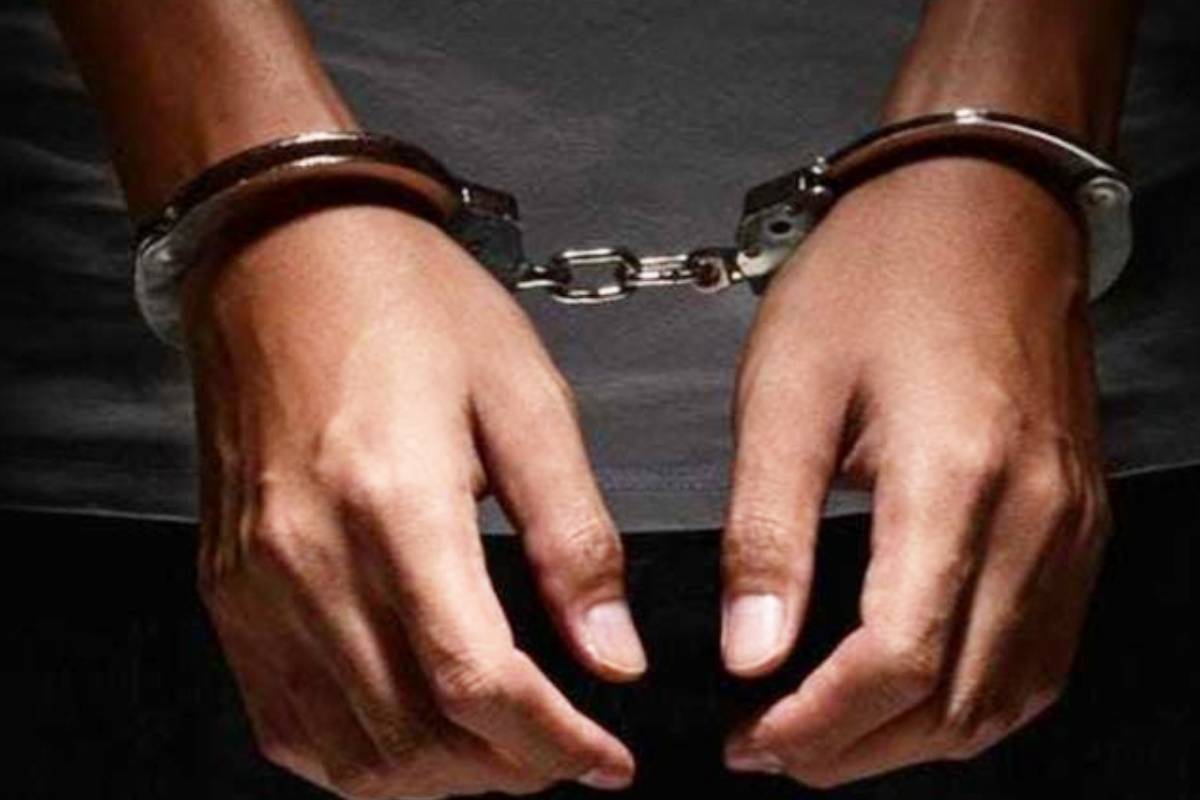 கட்டுநாயக்க விமான நிலையத்தில் கைதான வெளிநாட்டவர் | Illegally With Plant Chinese National Arrested