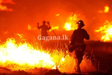 දෙයියනේ එයාලට එහෙම වුණේ ඇයි?. තරු දෙකකගෙ නිවාස පිච්චිලා..