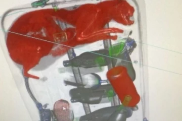 விமான நிலையத்தில் பயணி ஒருவர் சூட்கேசுடன் நுழைந்தபோது ஒலித்த அலாரம்: எக்ஸ்ரேயில் தெரிந்த திகைக்கவைத்த காட்சி