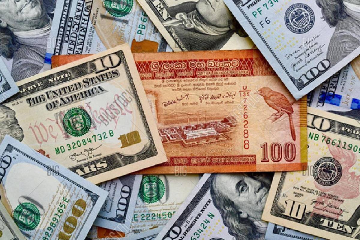 அமெரிக்க டொலரின் பெறுமதியில் இன்று ஏற்பட்ட மாற்றம் | Dollar Rate In Sri Lanka Banks Today Usd To Lkr அமெரிக்க டொலரின் பெறுமதியில் இன்று ஏற்பட்ட மாற்றம் | Dollar Rate In Sri Lanka Banks Today Usd To Lkr