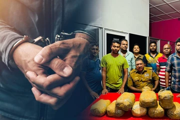 வடக்கு மாகாணத்தில் பொலிஸ் சுற்றிவளைப்பு: பெருமளவில் கைப்பற்றப்பட்ட கஞ்சா