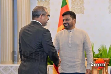 මාලදිවයින් විදේශ කටයුතු ඇමති හා ජනපති අතර හමුවක්