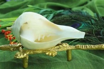 வீட்டில் மகிழ்ச்சியும், செல்வமும் குறையாமல் இருக்க வேண்டுமா? வலம்பரி சங்கு செய்யும் அற்பதம்