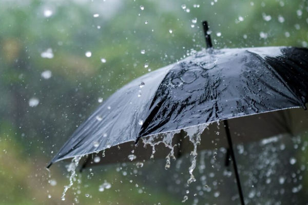 ஜனவரி 15 முதல் நாட்டின் மழை நிலைமை! வளிமண்டலவியல் திணைக்களத்தின் அறிவிப்பு | Sri Lanka Rainfall To Reduce After Jan 15