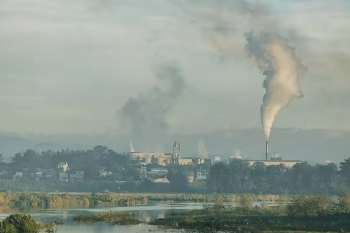 உலகின் மிகவும் மாசுபட்ட நாடு.., எது தெரியுமா? | Pakistan Ranked Worlds Most Polluted Country