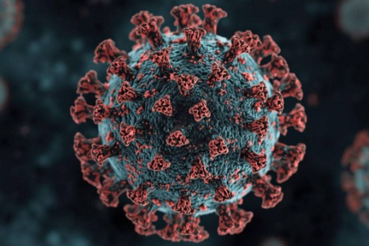 cicada ba 3.2 cicada ba 3.2