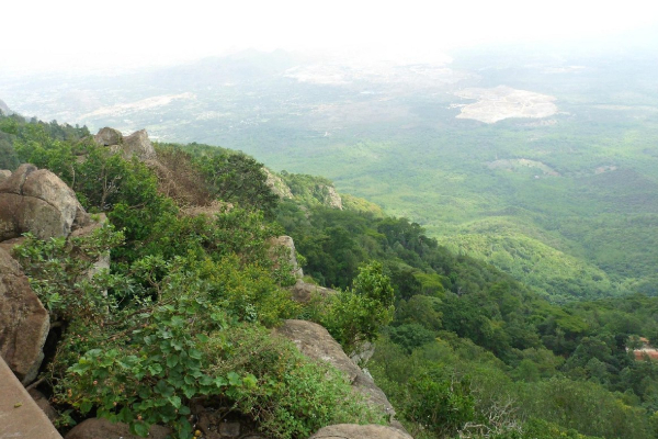 இந்தியாவிலேயே முதலில் தோன்றிய மாவட்டம் தமிழகத்தில் தான் உள்ளது.., எது தெரியுமா? | Which Is The India First District In Tamil இந்தியாவிலேயே முதலில் தோன்றிய மாவட்டம் தமிழகத்தில் தான் உள்ளது.., எது தெரியுமா? | Which Is The India First District In Tamil